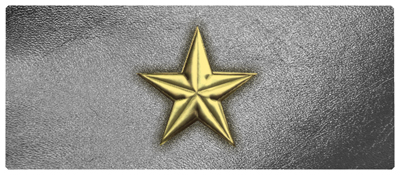 DNSEMP-L-430-GD-SL Star Gold-Silver